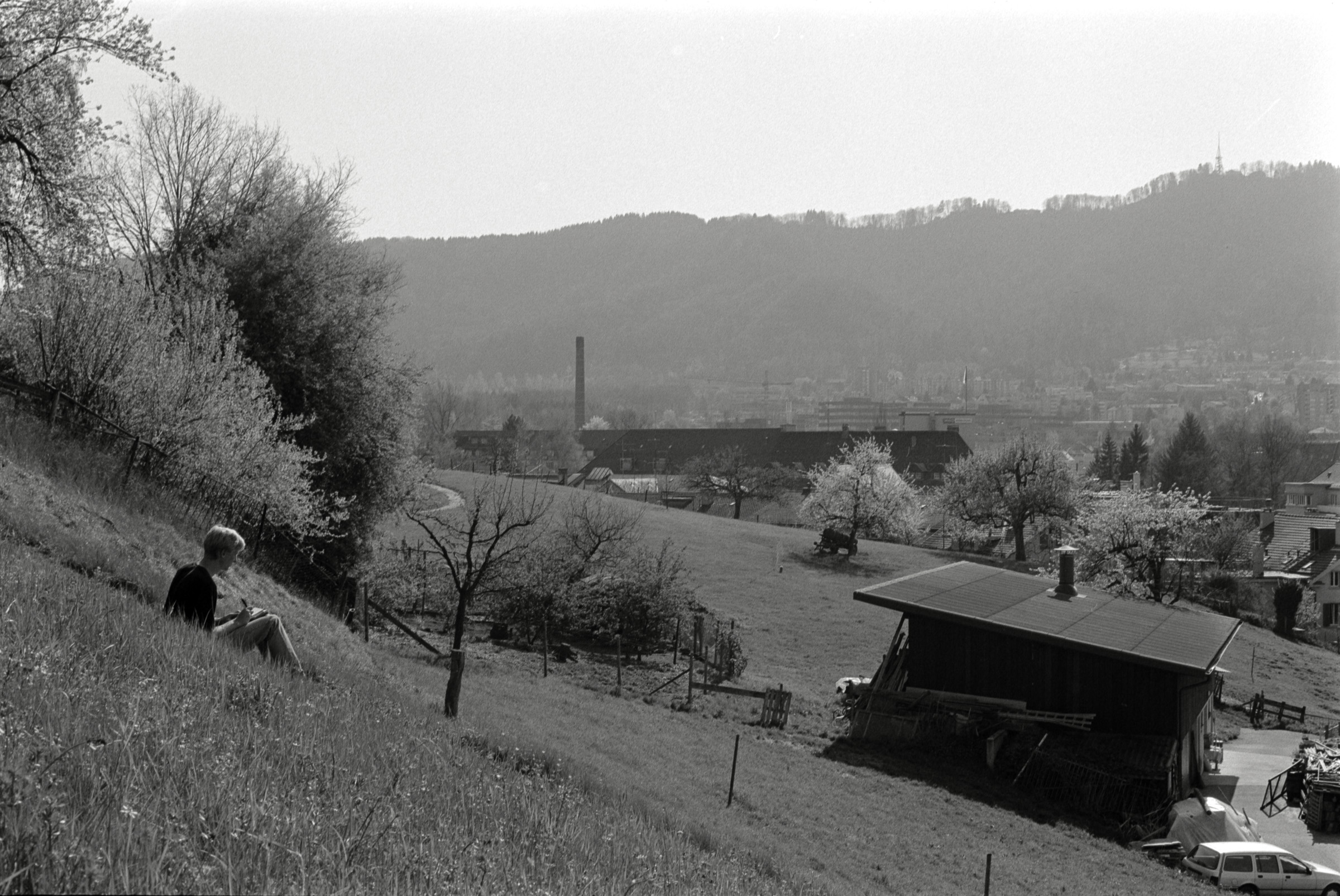 AHP F1993 04 002 sc240903 img10 NLP